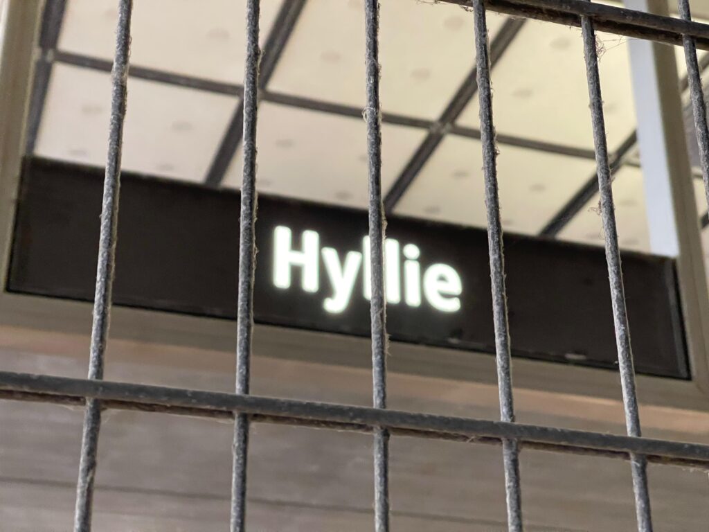 Hylie Station Border fence